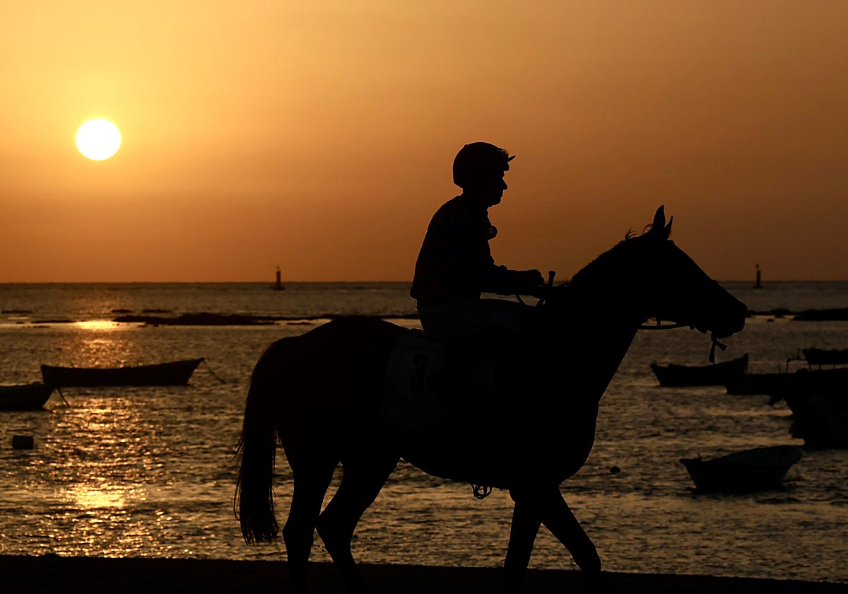 La Junta apoya las Carreras de Caballos de Sanlúcar y destaca el potencial del sector equino andaluz