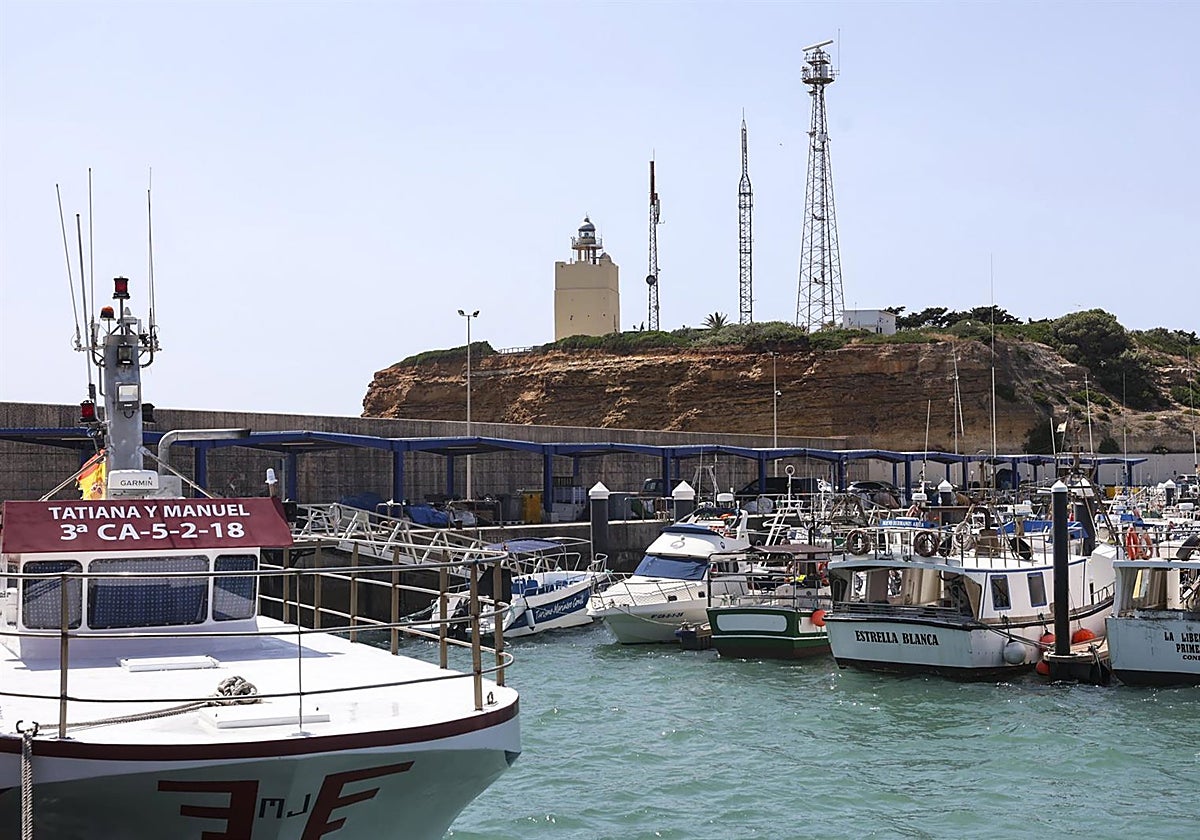 Los pescadores de Conil sufren una caída del 26% en las ventas y lo achacan al avance implacable de un gran enemigo