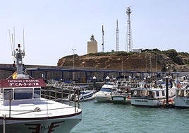 Los pescadores de Conil sufren una caída del 26% en las ventas y lo achacan al avance implacable de un gran enemigo