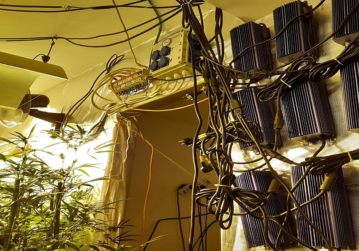 Endesa detecta en Cádiz seis fraudes eléctricos al día durante la primera mitad del año