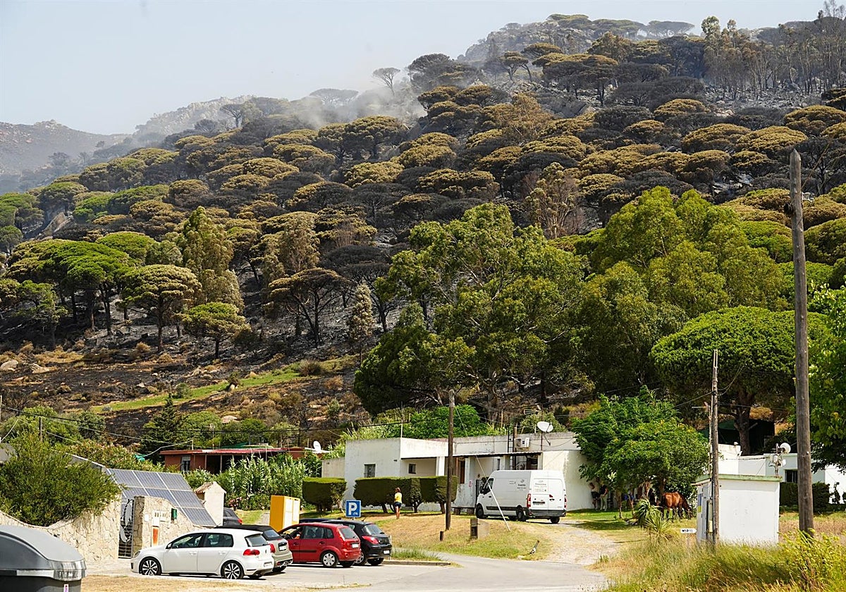 Tarifa recupera el pulso turístico tras el incendio: así se presenta el fin de semana