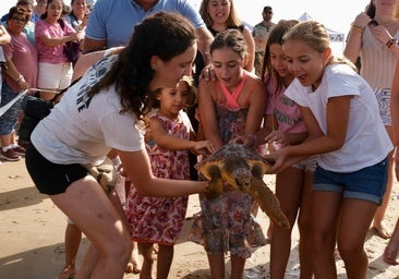 Gran expectación en la playa de Cortadura de Cádiz por la liberación de tres tortugas marinas