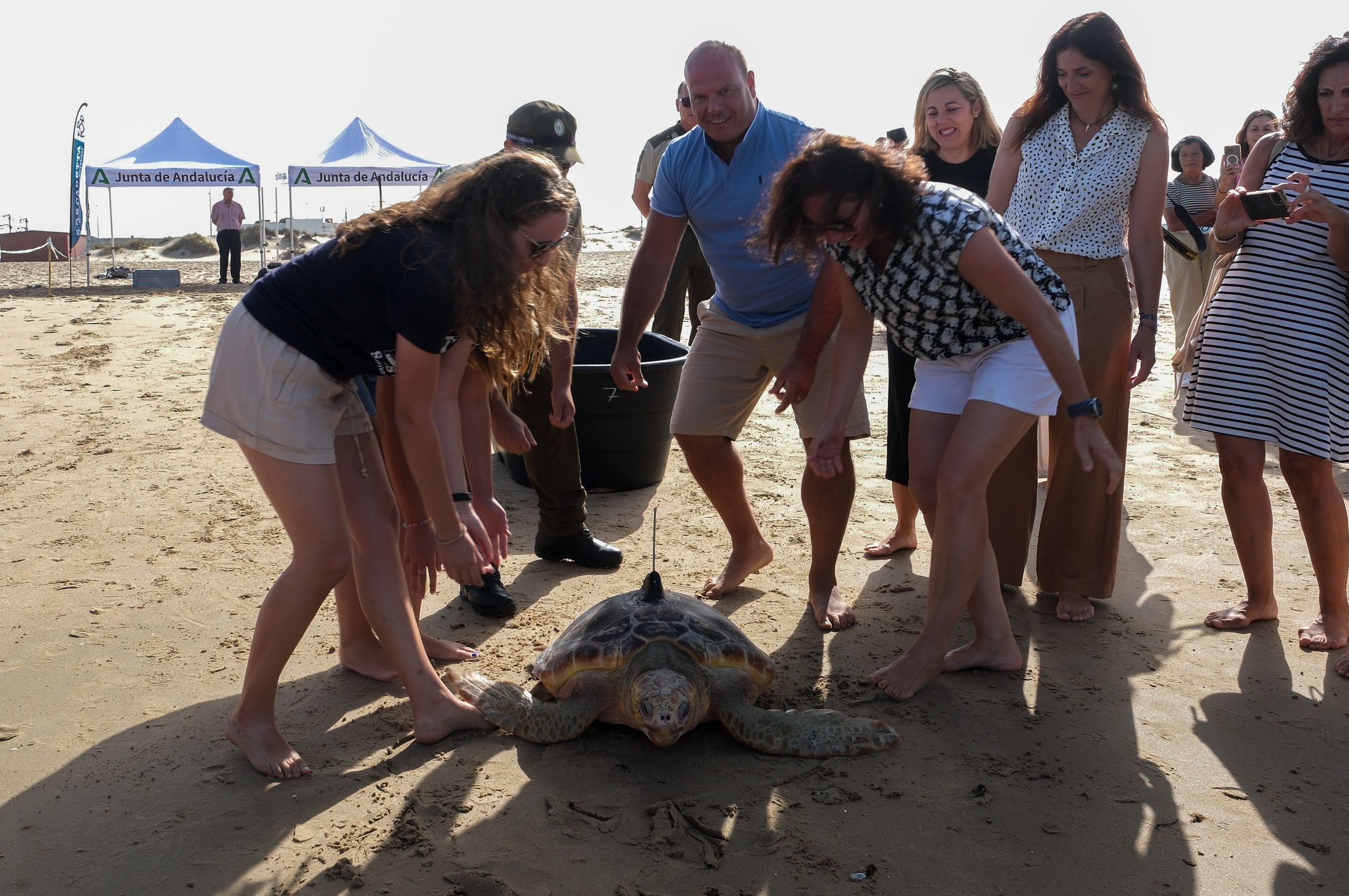 Fotos: Así ha sido la suelta de tres tortugas en la playa de Cortadura de Cádiz