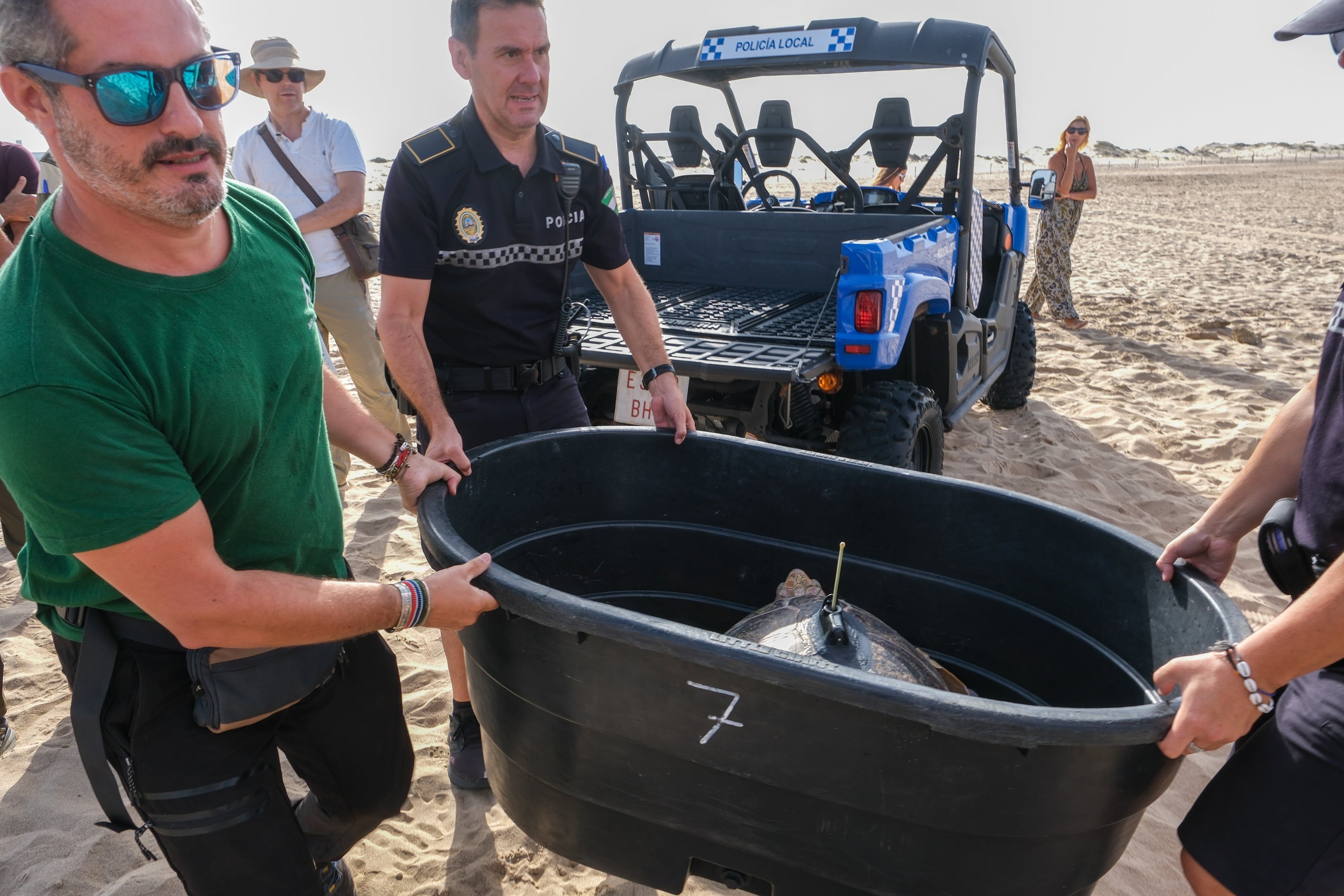 Fotos: Así ha sido la suelta de tres tortugas en la playa de Cortadura de Cádiz