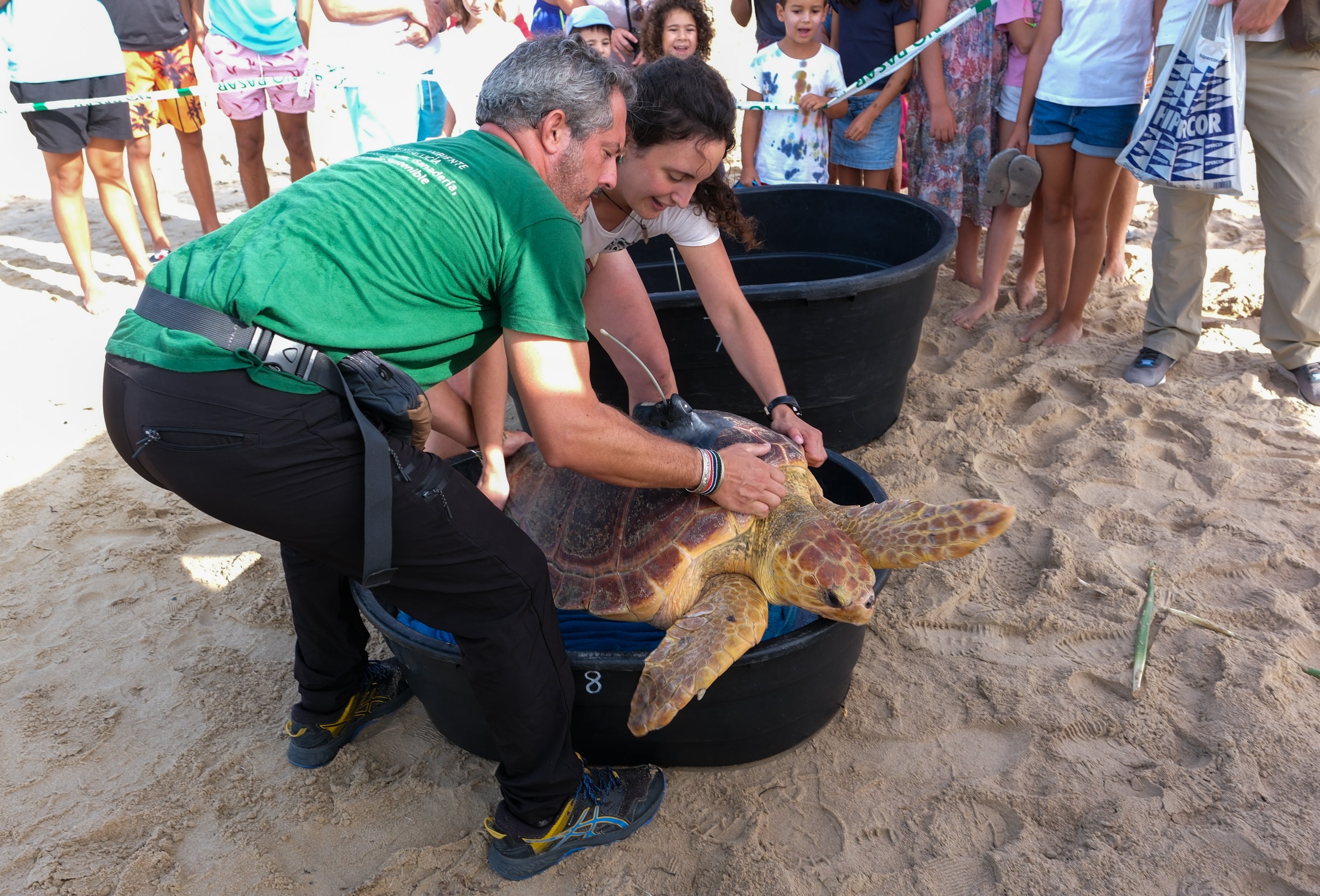 Fotos: Así ha sido la suelta de tres tortugas en la playa de Cortadura de Cádiz
