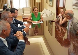 La Diputación de Cádiz vuelve a arrimarse a los toros