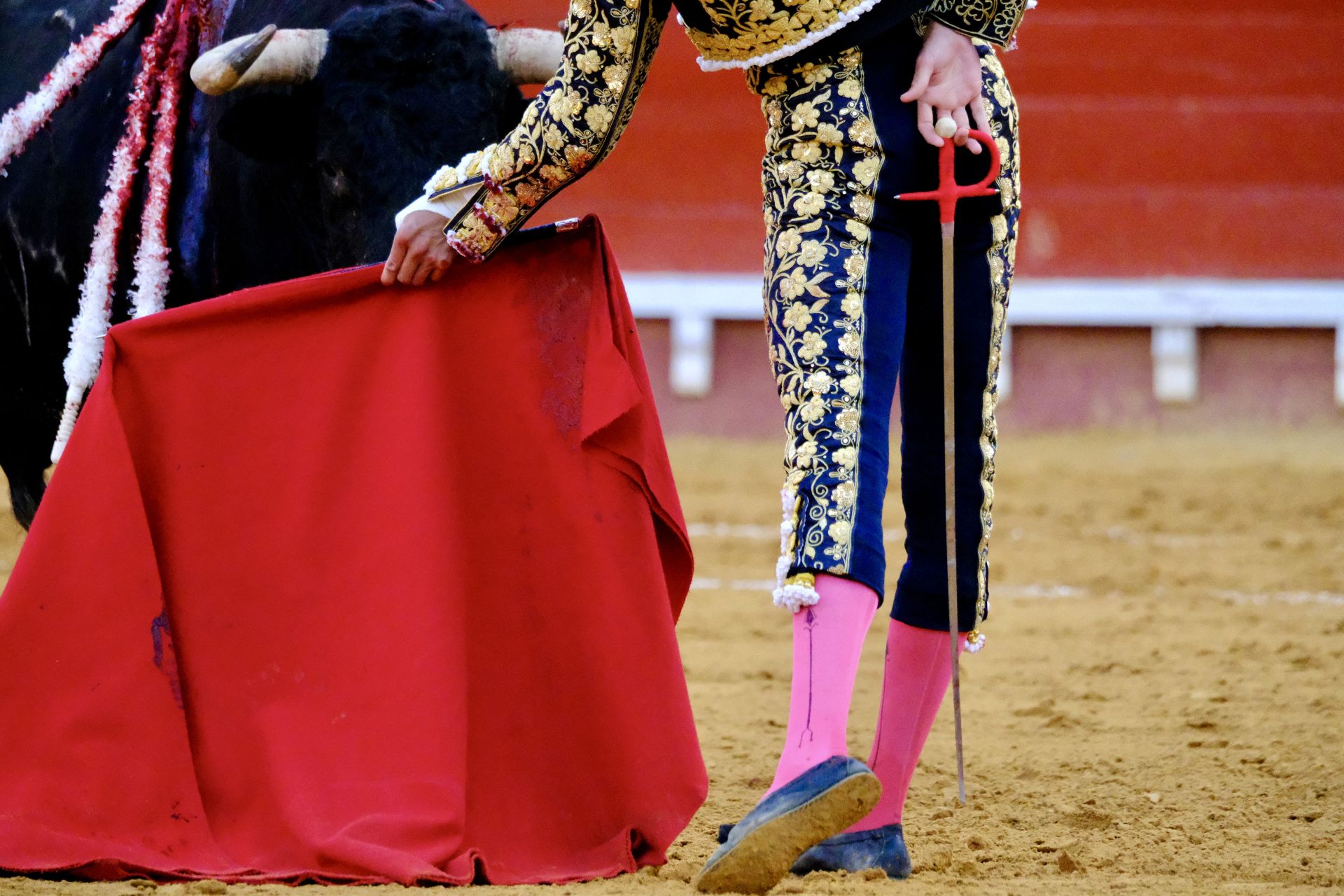 Toros en El Puerto: Morante, Roca Rey y Daniel Crespo