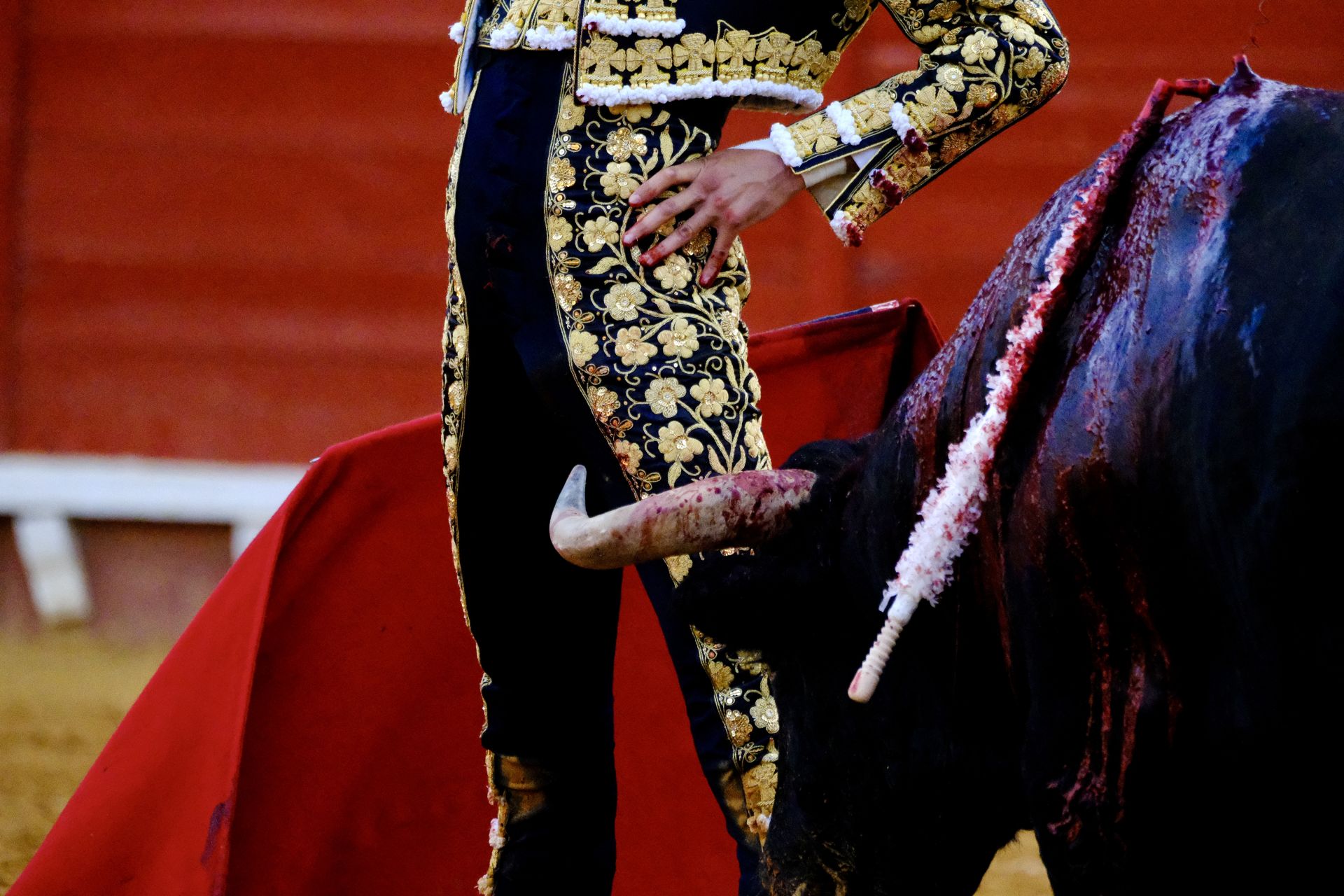 Toros en El Puerto: Morante, Roca Rey y Daniel Crespo