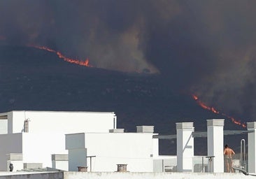 Nuevo incendio en Tarifa: Infoca intenta impedir el avance del fuego en la playa de Bolonia y Atlanterra