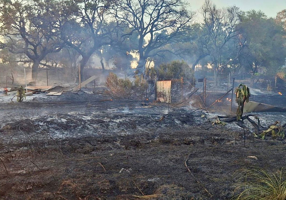 Un incendio con varios focos en Jerez da el susto este miércoles