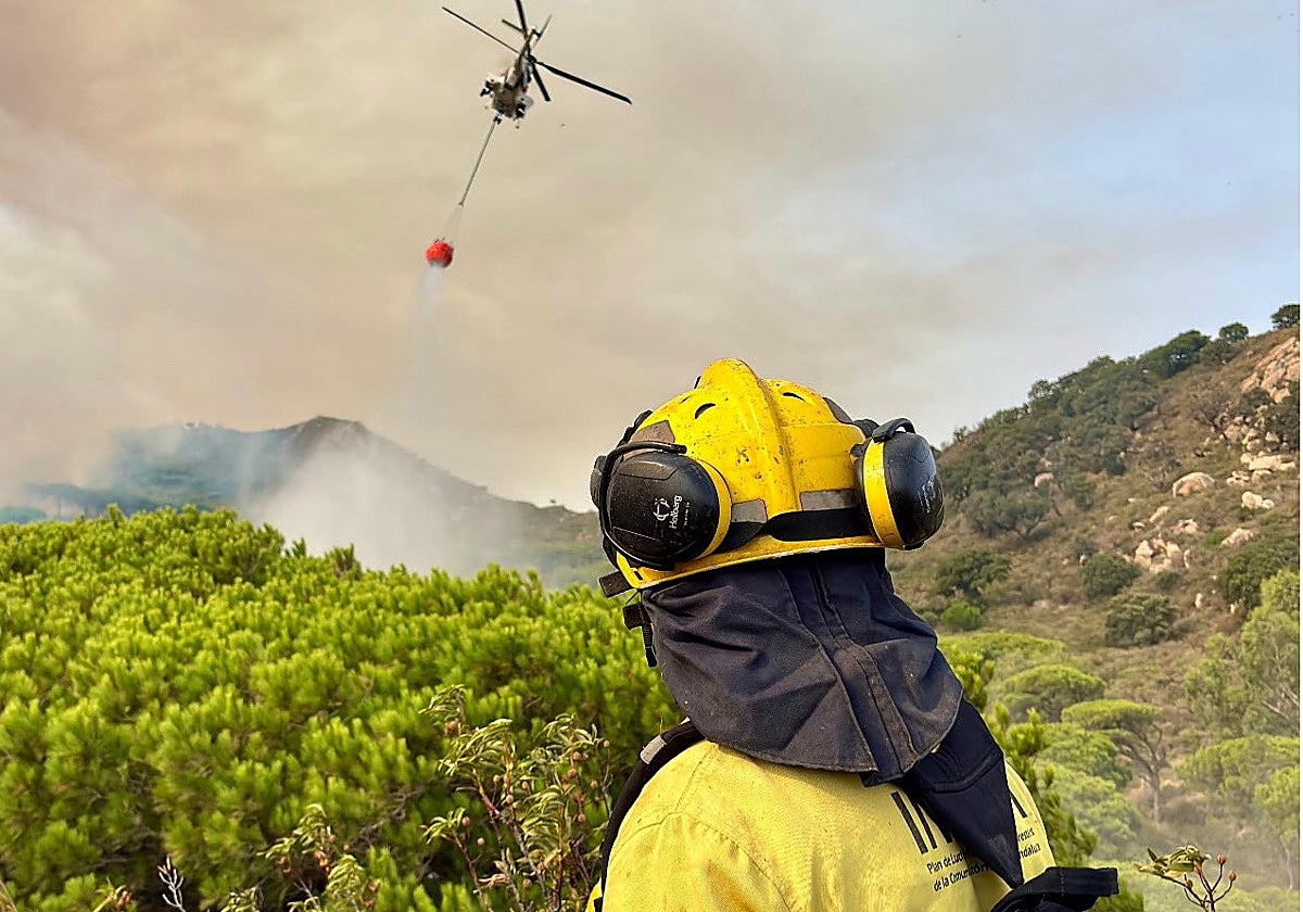 La provincia de Cádiz ya ha registrado varios fuegos
