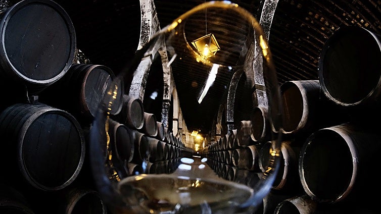 Los aranceles de Trump ponen a prueba a las empresas gaditanas: «No es momento para el desaliento, sino para la estrategia»