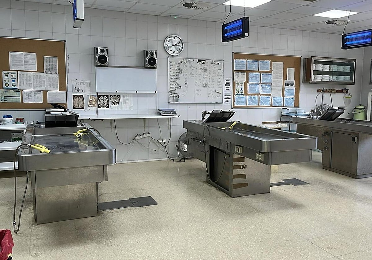 Las autopsias realizadas en el Instituto de Medicina Legal de Cádiz revelan un descenso de muertes violentas en un 7%