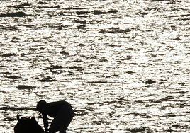 Una denuncia de tocamientos en las carreras de caballos de Sanlúcar acaba con un detenido por agresión sexual