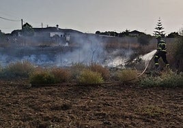Incendio en una parcela con pasto en Conil de la Frontera
