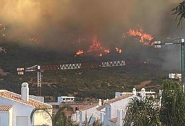 La reforestación en Tarifa se pospone hasta que concluya la campaña de incendios