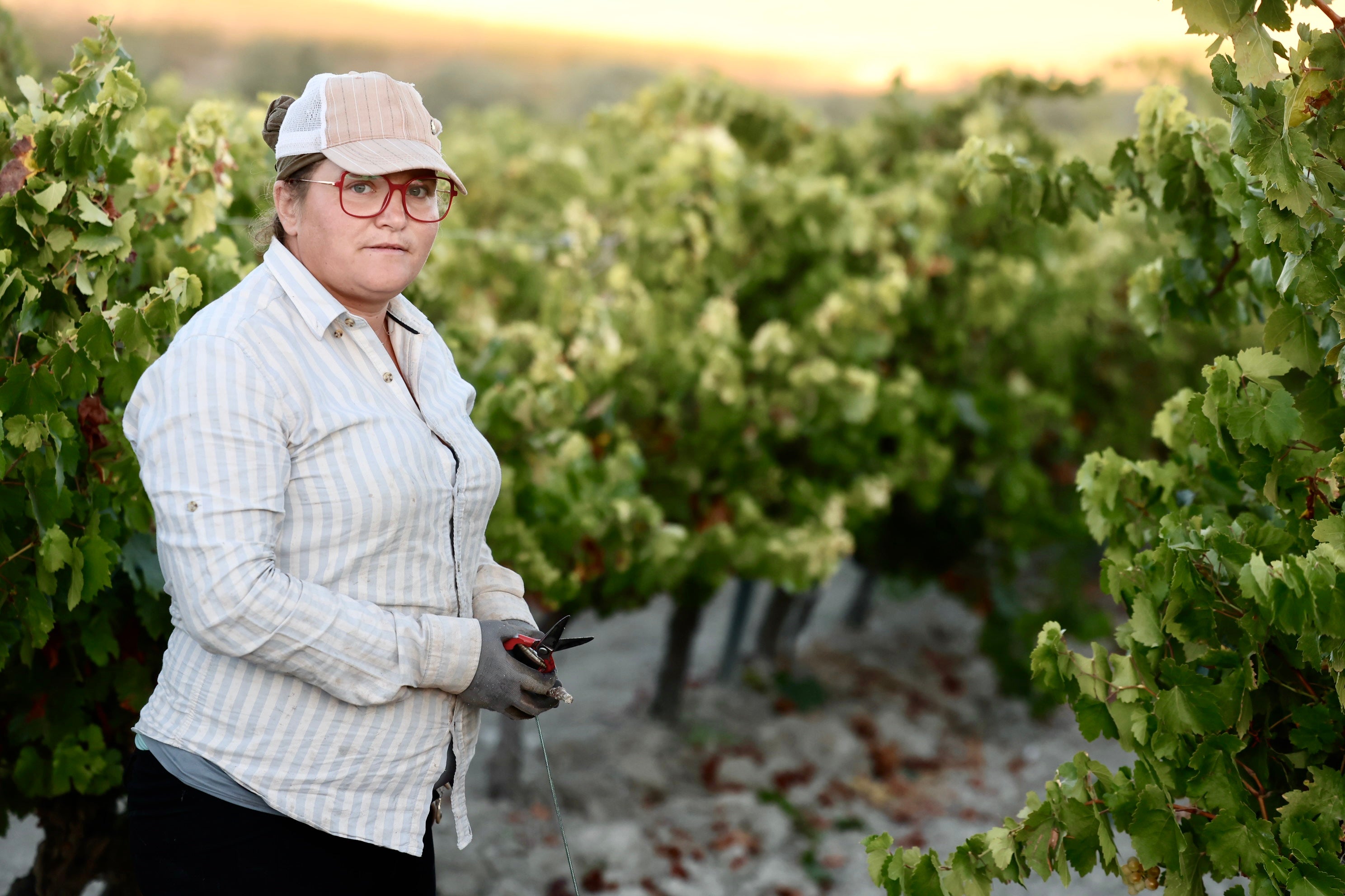 Fotos: El corazón del Marco de Jerez late otra vez con la vendimia