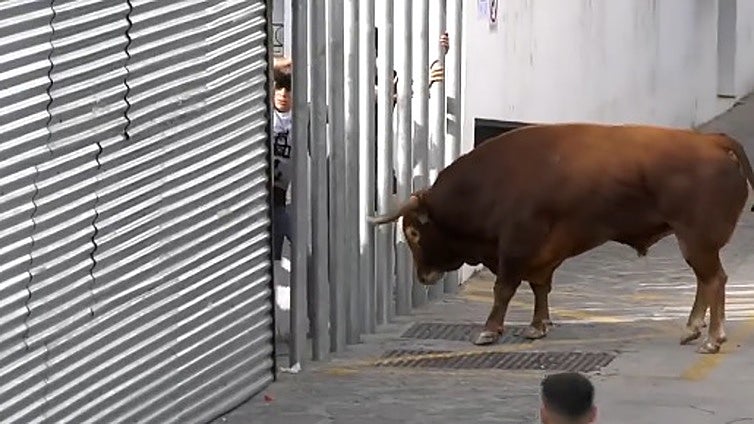 Un vecino de Ubrique muere corneado por un toro en las fiestas del municipio