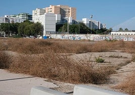 «Cádiz no necesita solo otro edificio, necesita un hospital que refleje la sanidad que queremos para los próximos cuarenta años»