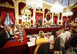 La Diputación de Cádiz recupera la calma política y aprueba por unanimidad un amplio paquete de inversiones y mejoras para la provincia