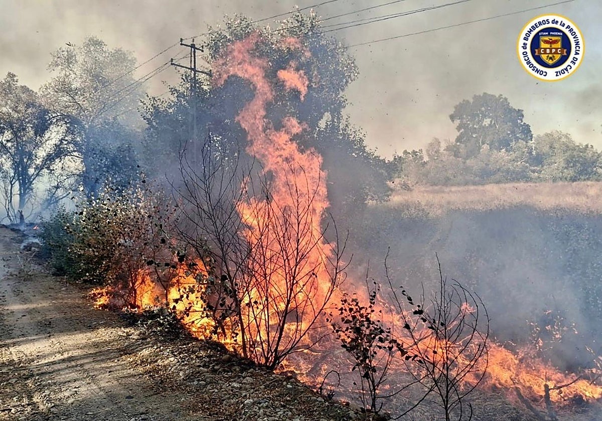 Un incendio iniciado en una cuneta calcina 3,5 hectáreas de una finca rural en Jerez