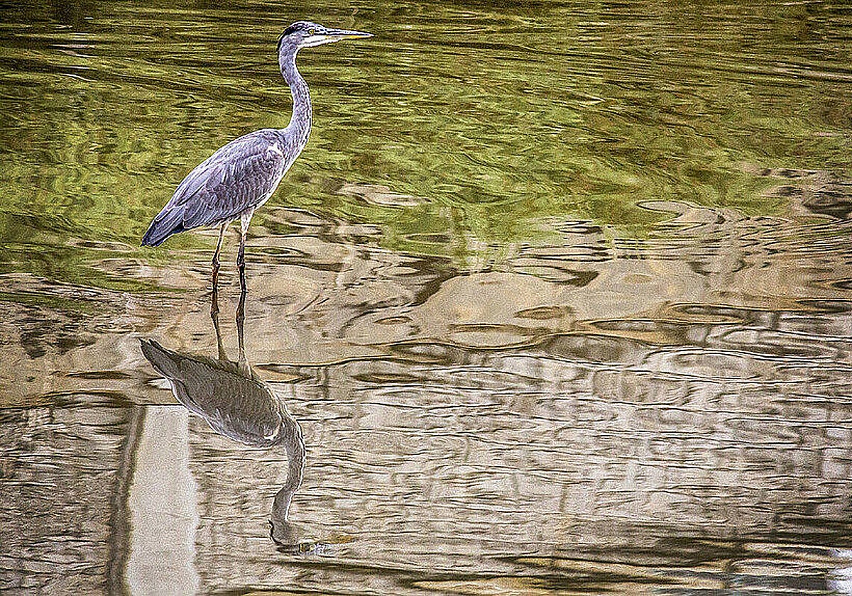 Este conocido pueblo de Cádiz celebra el Día Mundial del Turismo con visitas guiadas gratis