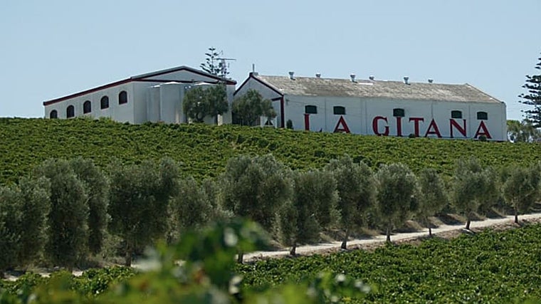 Lugares y fechas de las actividades en la provincia de Cádiz organizadas por las Jornadas Europeas de Patrimonio