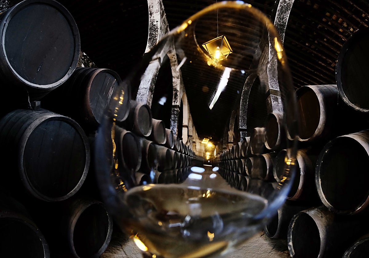 El vino de Jerez es uno de los productos que Cádiz exporta a Israel