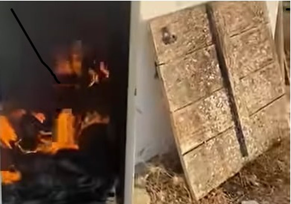 Roban y prenden fuego en una empresa ubicada en pleno Parque Natural Bahía de Cádiz: «Vamos a llevar esto hasta el final»