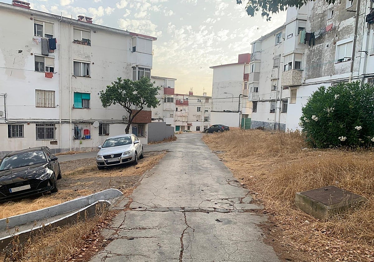 La Junta recibe cuatro ofertas para la reurbanización del barrio de La Piñera en Algeciras
