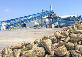 La Junta ofrece a Azucarera su colaboración para evitar el traslado de la producción de su planta de Jerez