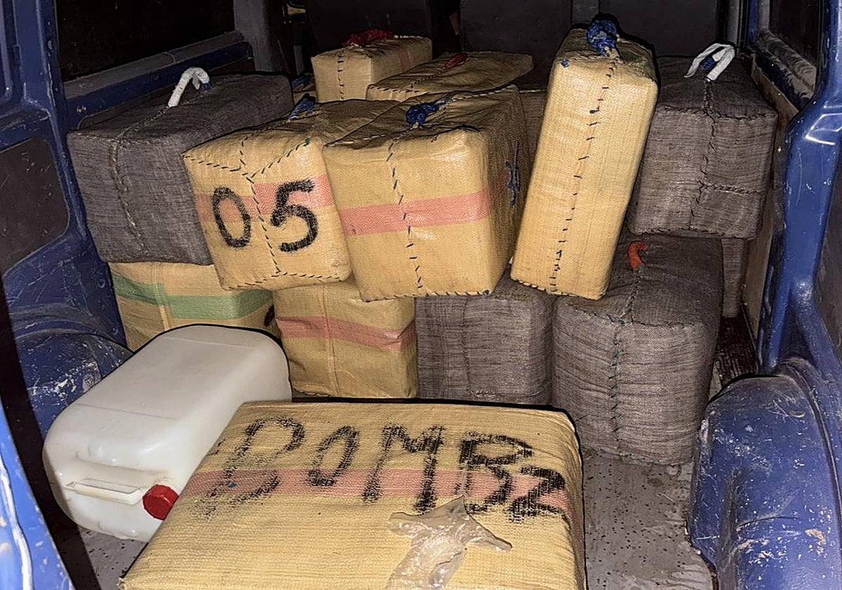 Alijo intervenido esta madrugada.