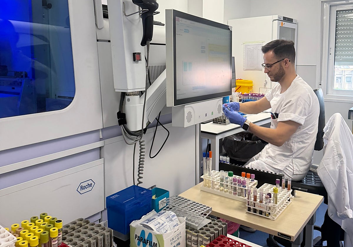 Detectada circulación del virus del Nilo en mosquitos en la pedanía de Tahivilla en Tarifa