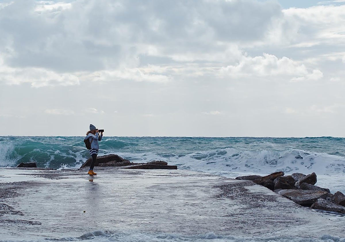 De erizos de mar a cultura marítima: estos son los 13 proyectos de investigación que financia CEIMAR