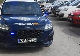 Arrestada una mujer por agredir a la empleada de un comercio y sustraer varios artículos en Jerez