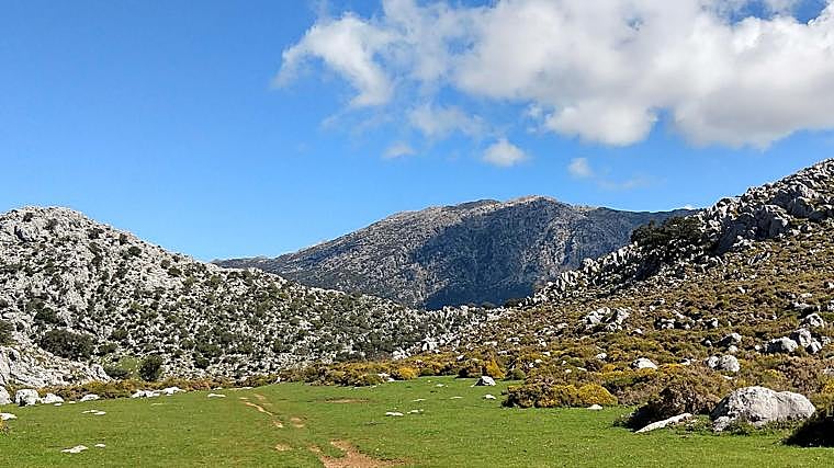 Imagen de archivo de El Torreón