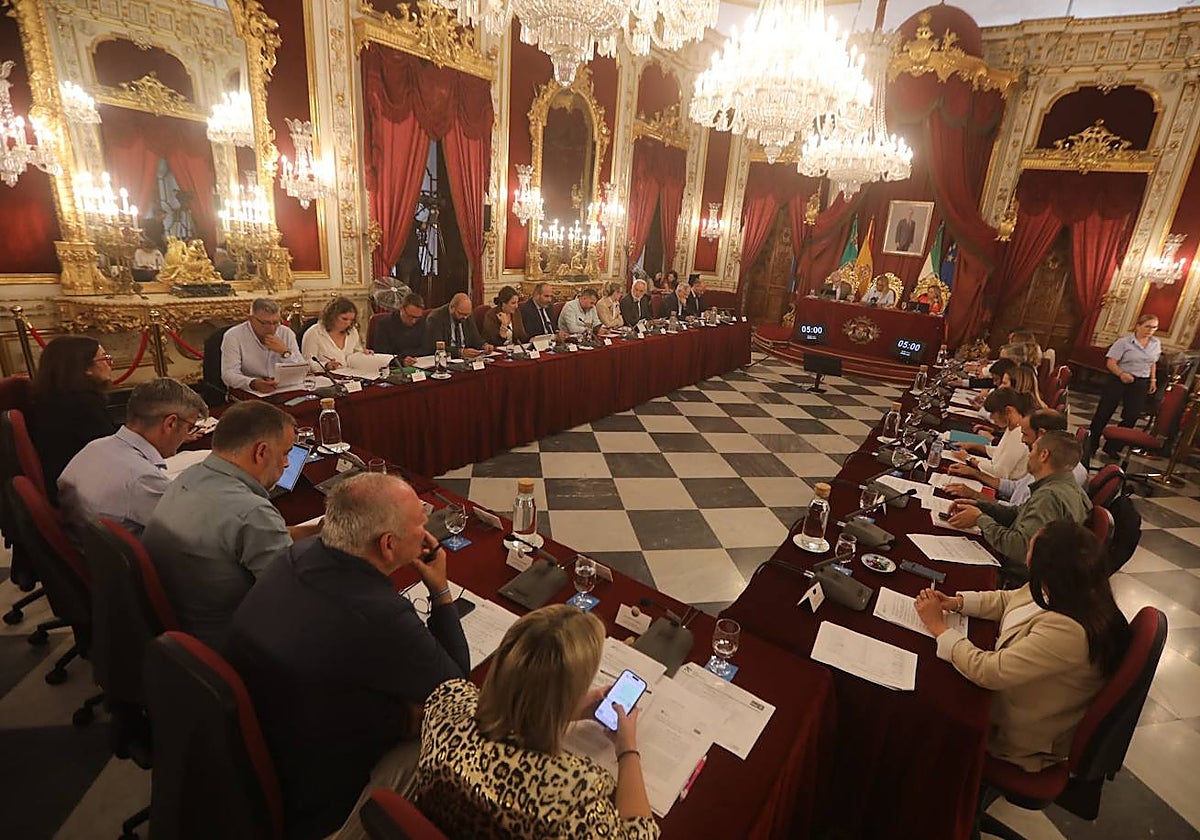 Pleno de la Diputación Provincial de Cádiz
