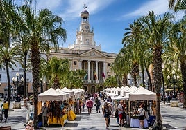 El PSOE de Cádiz pide poner a disposición de la ciudadanía la información del arbolado de toda la ciudad