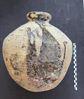 Imagen secundaria 2 - Nuevos restos arqueológicos emergen durante las obras de la Fase II de la Nueva Terminal de Contenedores de Cádiz