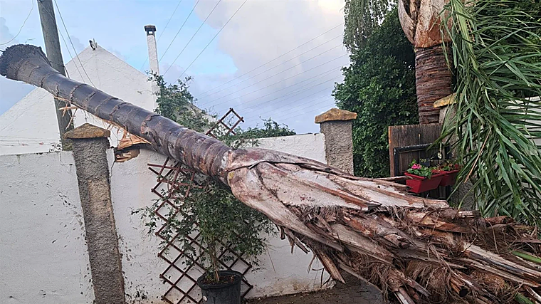 Cádiz se libra de lo peor del temporal pero la borrasca deja daños en la Costa Noroeste
