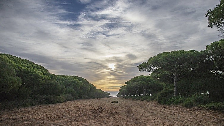 El Parque Natural de La Breña amplía su superficie e incluye el Tómbolo de Trafalgar