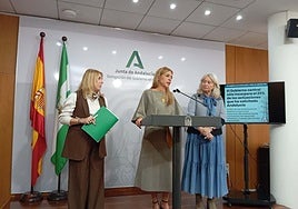 El Gobierno de España «ningunea» a Cádiz con el reparto de las inversiones eléctricas