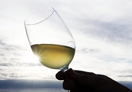 Este pueblo de Cádiz celebra su tradicional Fiesta del Mosto en noviembre con catas y degustaciones