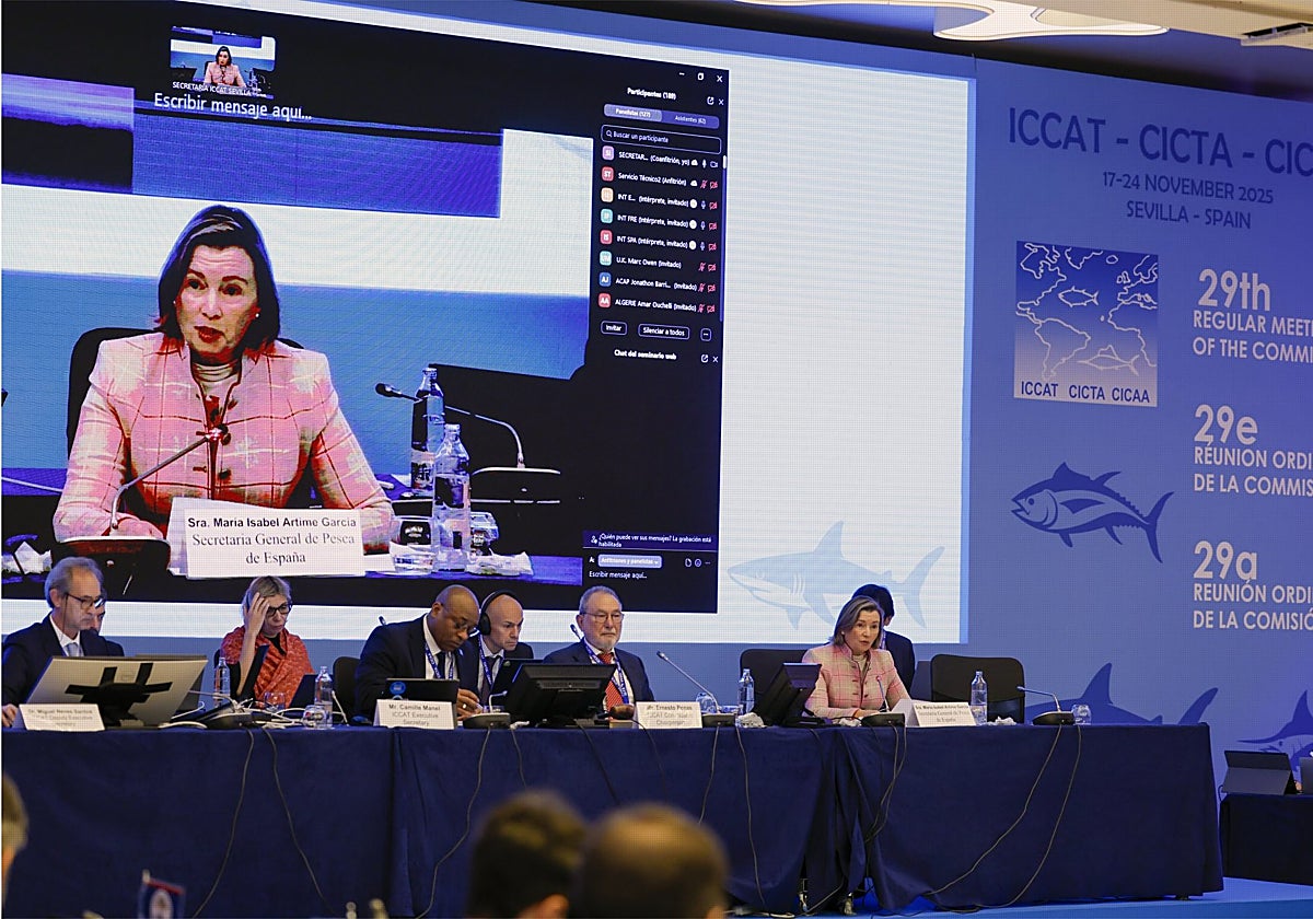 Reunión en Sevilla este martes del órgano internacional que regula la pesca del atún