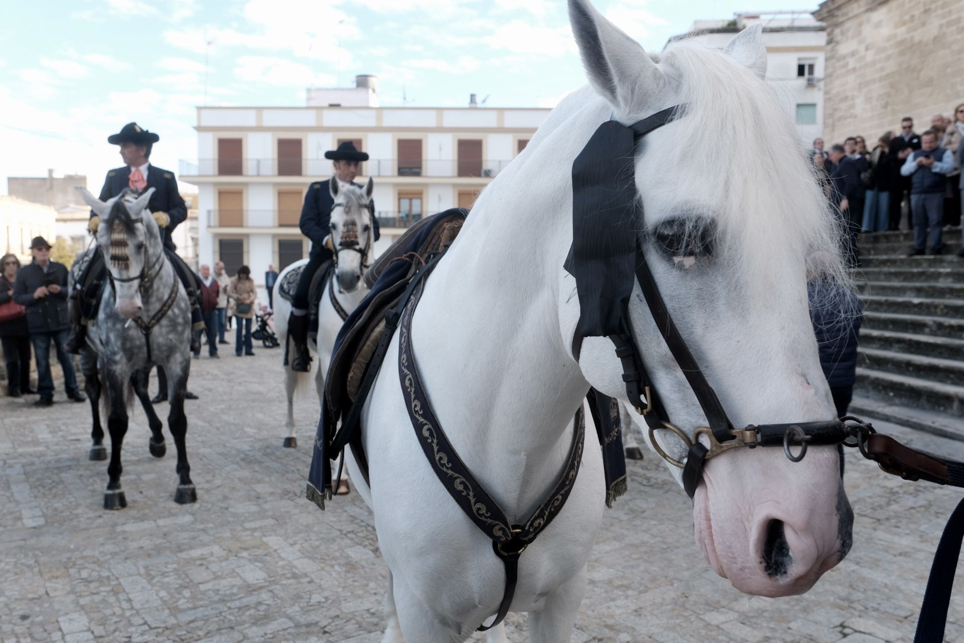Fotos: Emotiva despedida a Álvaro Domecq Romero en la Catedral de Jerez