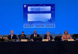 Horas cruciales para las almadrabas de Cádiz, que se juegan una subida histórica de la cuota de pesca del atún rojo