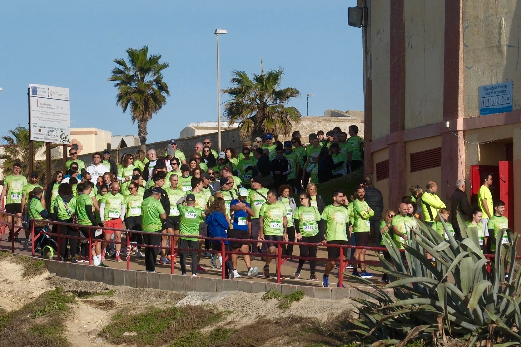 Más de 5.000 personas participan en la XI Carrera Cádiz en Marcha Contra el Cáncer