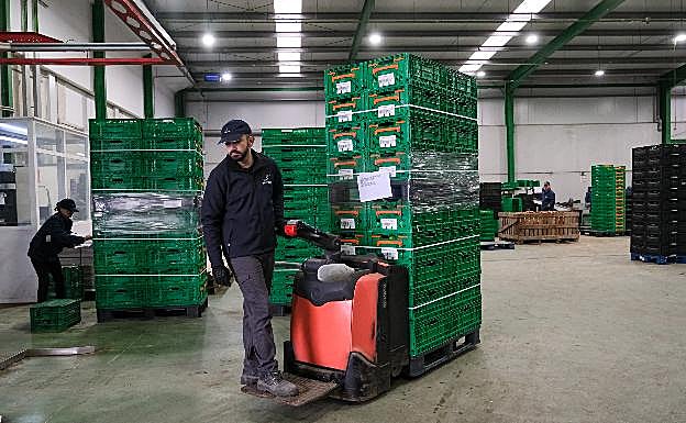 Transporte de la producción