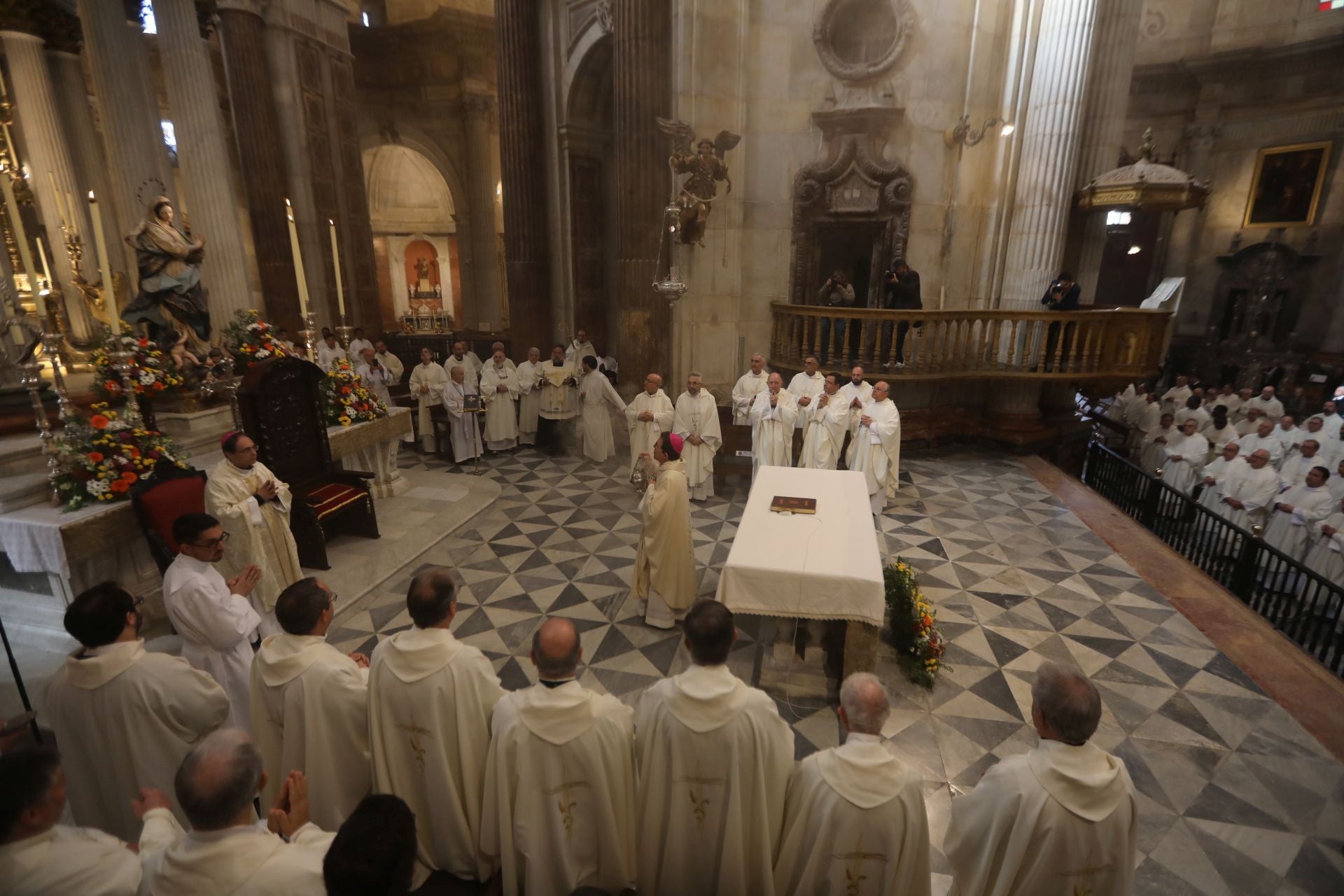 Fotos: Misa de presentación en Cádiz del administrador apostólico