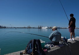 Pesca recreativa en Andalucía: cómo registrarse, qué especies puedes pescar y cuáles están prohibidas desde el 10 de enero